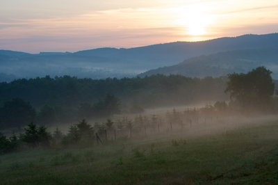 Réveil brumeux_5543262119_l.jpg